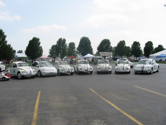 Copy of IMG_8620.JPG